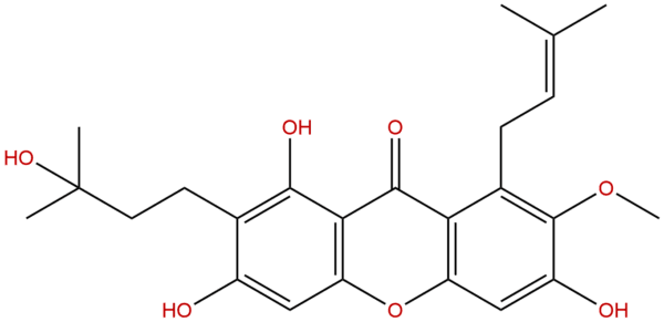 149155 01 1 - BIORLAB