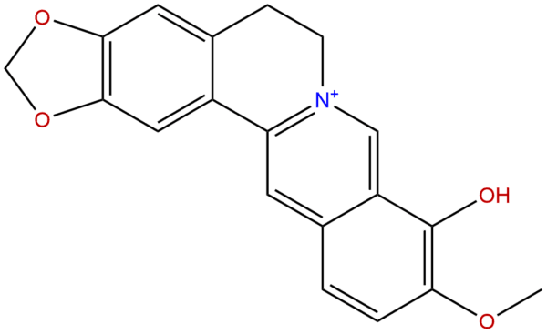 15401 69 1 - BIORLAB