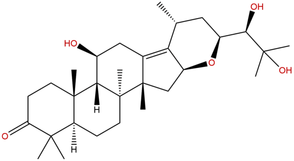 155521 45 2 - BIORLAB