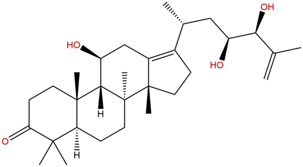 155521 46 3 - BIORLAB