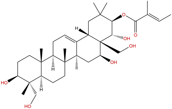 1581276 63 2 - BIORLAB