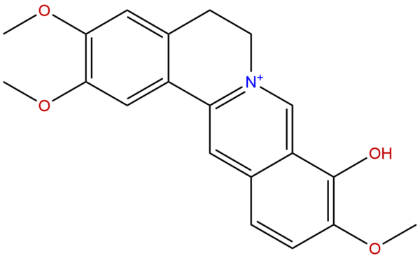 16176 68 4 - BIORLAB