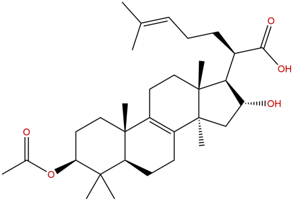 168293 13 8 - BIORLAB