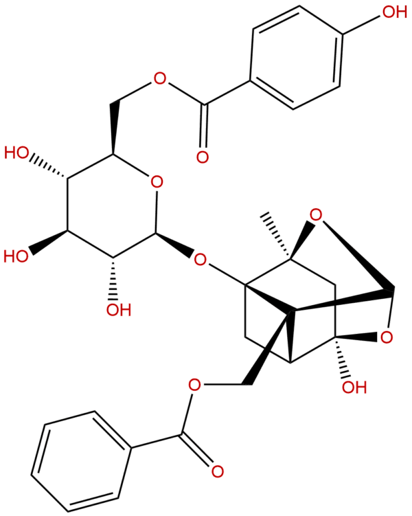 172760 03 1 - BIORLAB