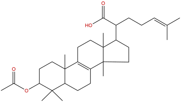 174391 64 1 - BIORLAB