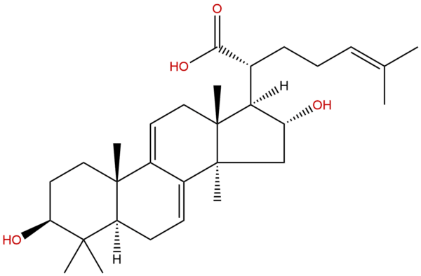 176390 66 2 - BIORLAB