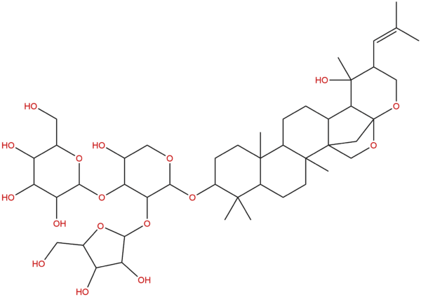 178064 13 6 - BIORLAB