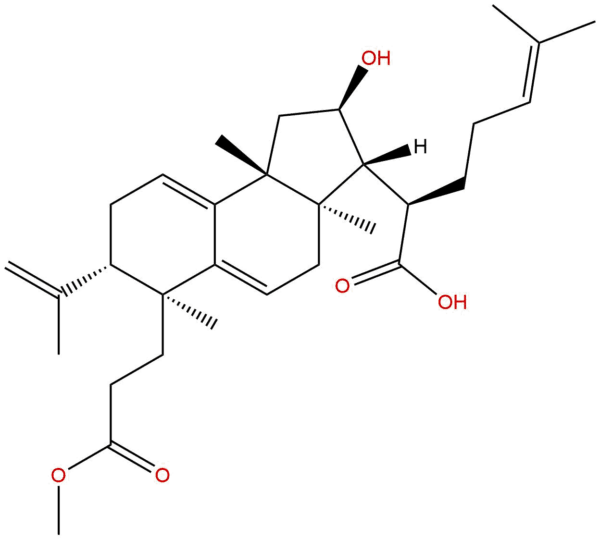 1815623 74 5 - BIORLAB