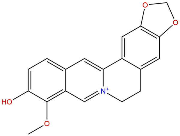 18207 71 1 - BIORLAB