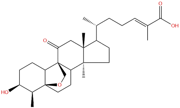 183374 15 4 - BIORLAB