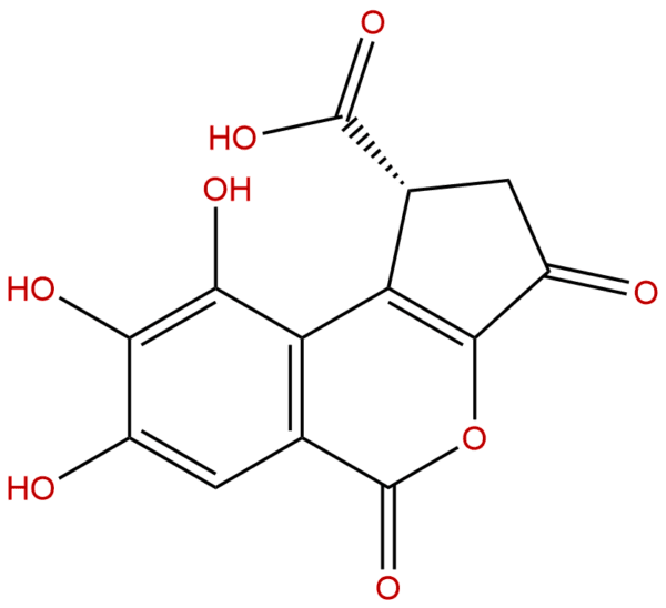 18490 95 4 - BIORLAB