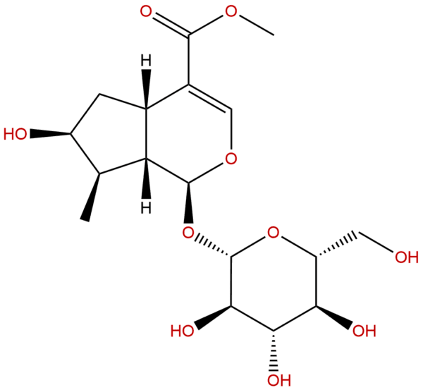 18524 94 2 - BIORLAB