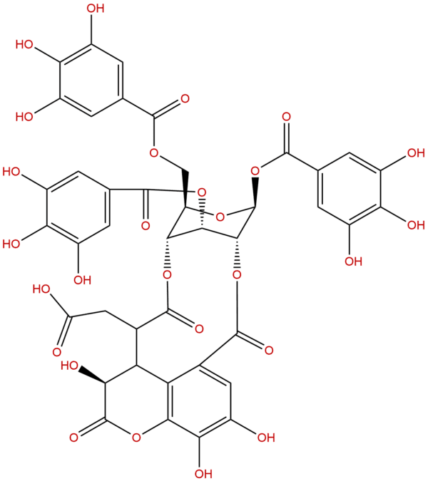 18942 26 2 - BIORLAB