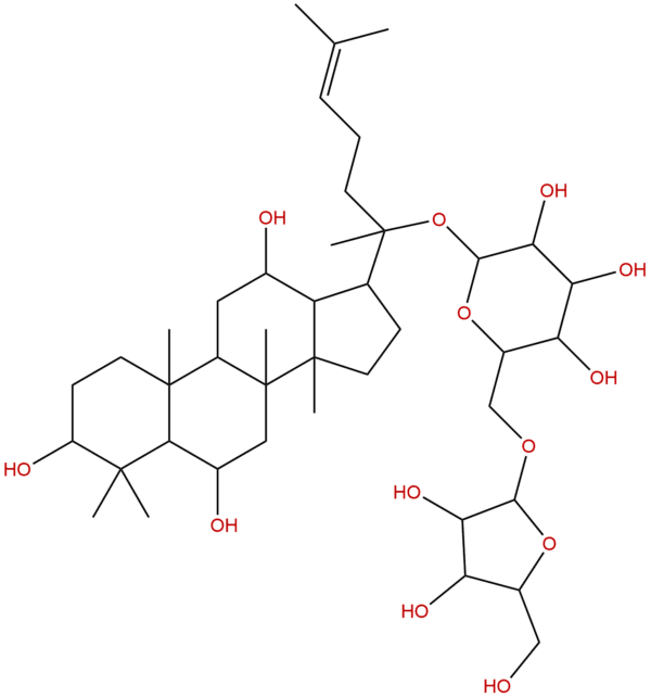 189513 26 6 - BIORLAB