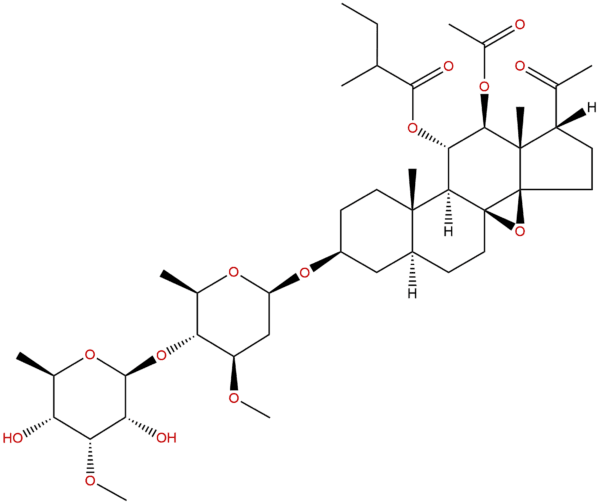 191729 45 0 - BIORLAB