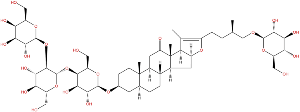 193605 07 1 - BIORLAB