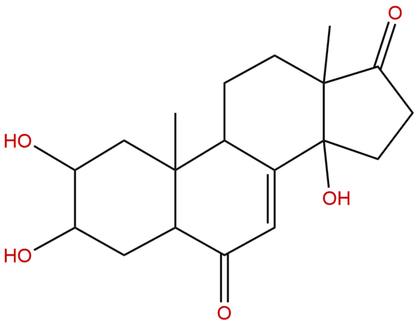 19466 41 2 - BIORLAB