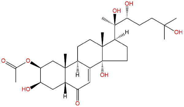 19536 25 5 - BIORLAB