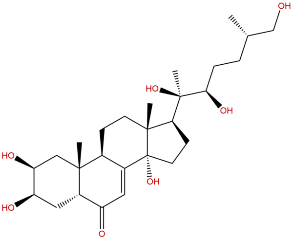 19682 38 3 - BIORLAB