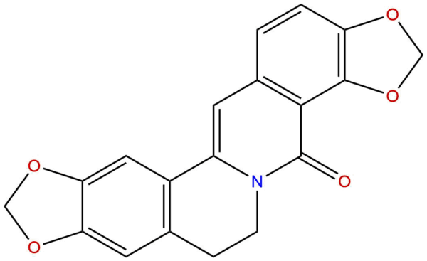 19716 61 1 - BIORLAB