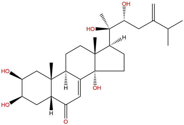 199f3e0681a3701bd22069d78898b9ec - BIORLAB