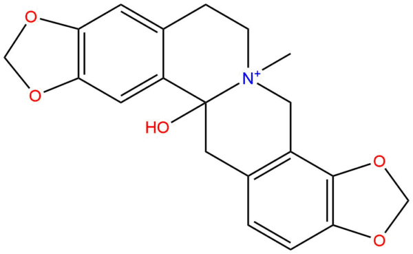 1b510da34e9433e55cc1fdc624dd9875 - BIORLAB