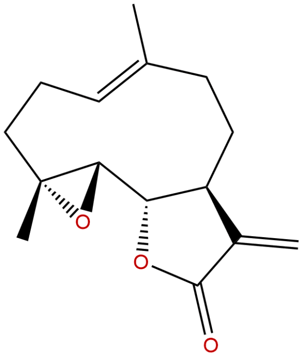 20554 84 1 - BIORLAB