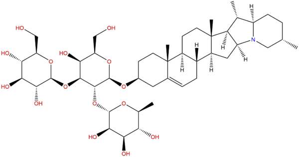 20562 02 1 - BIORLAB