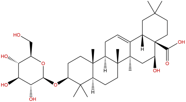 206756 04 9 - BIORLAB