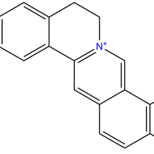 2086 83 1 - BIORLAB