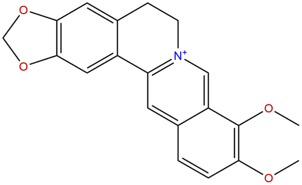 2086 83 1 - BIORLAB