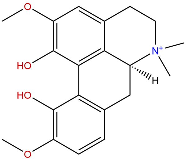 2141 09 5 - BIORLAB