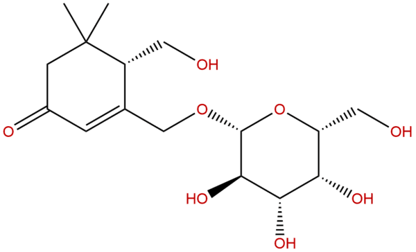 214125 04 9 - BIORLAB