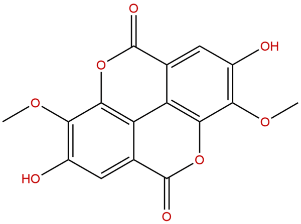 2239 88 5 - BIORLAB