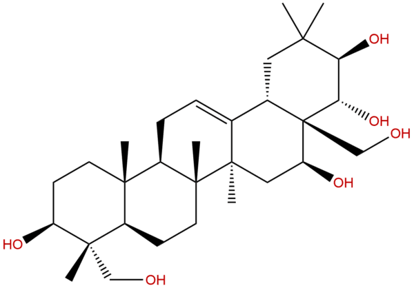 22467 07 8 - BIORLAB