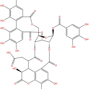 23094 71 5 - BIORLAB