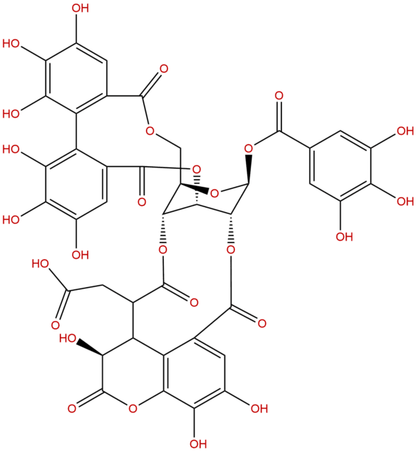 23094 71 5 - BIORLAB