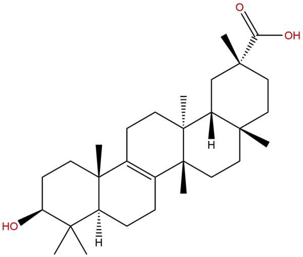 24480 45 3 - BIORLAB