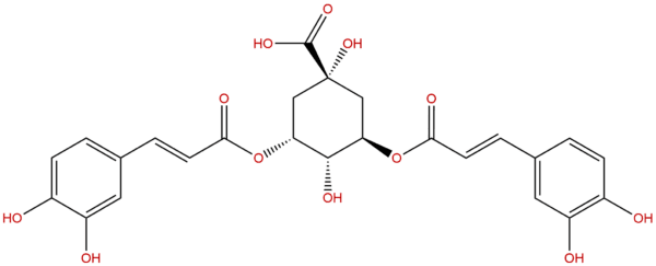 2450 53 5 - BIORLAB