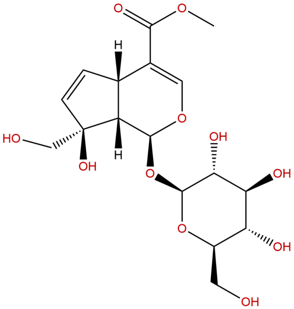 24512 62 7 - BIORLAB