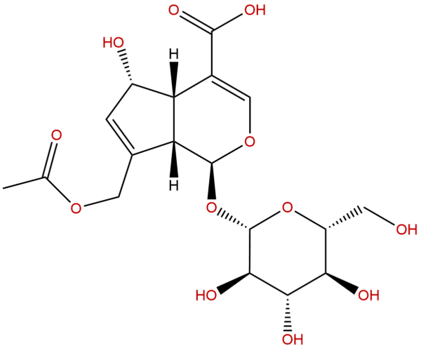 25368 11 0 - BIORLAB