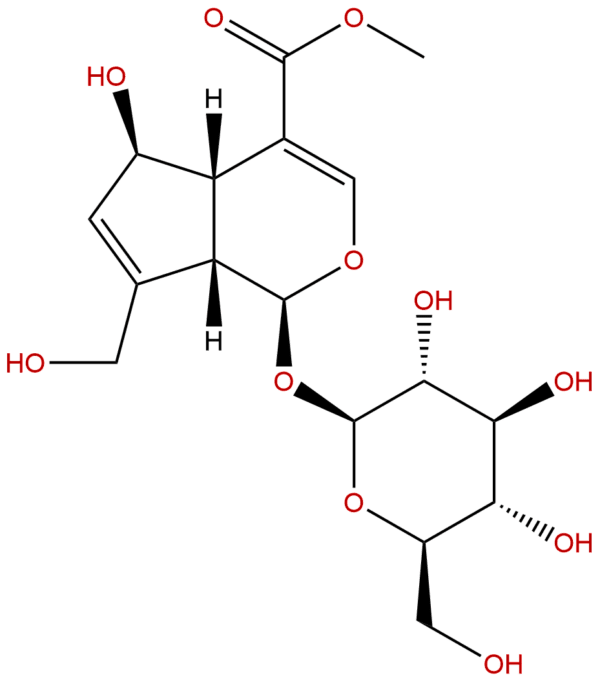 27530 67 2 - BIORLAB