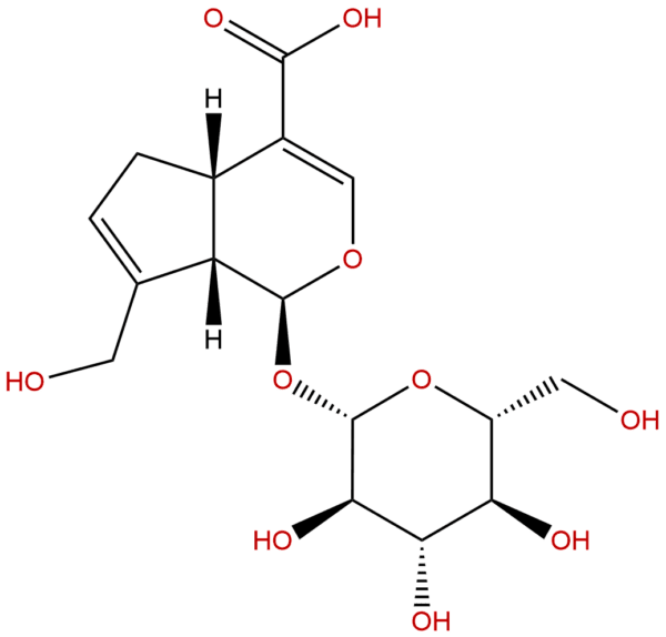 27741 01 1 - BIORLAB