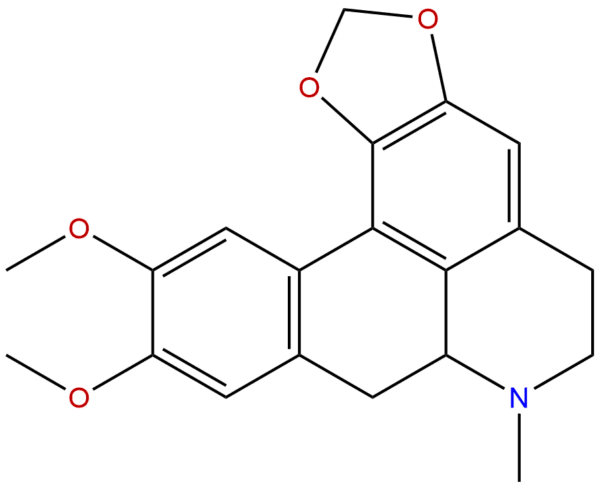 28832 07 7 - BIORLAB