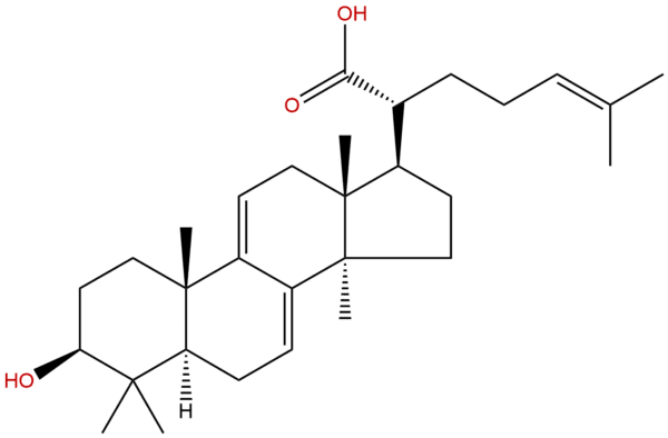 29220 16 4 - BIORLAB