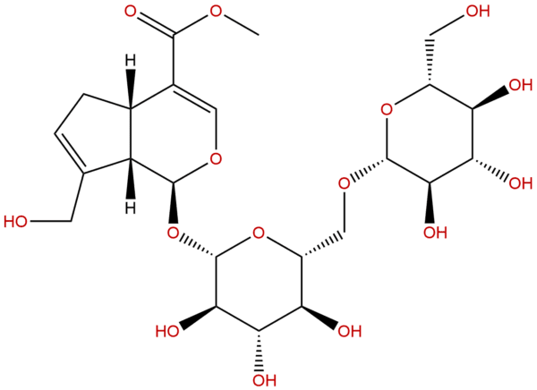 29307 60 6 - BIORLAB