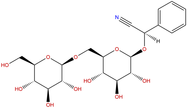 29883 15 6 - BIORLAB