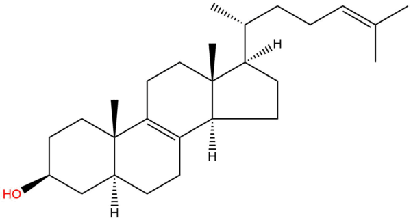 2e58d437f836364e1e9338ecae63e6f9 - BIORLAB