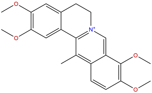 30045 16 0 - BIORLAB