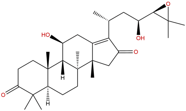 30489 27 1 - BIORLAB